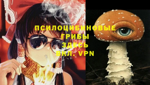 кокс Аркадак
