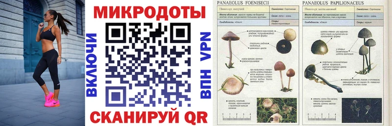 Псилоцибиновые грибы мухоморы  Саров 