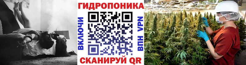 где купить наркоту  Саров  mega зеркало  Бошки марихуана VHQ 